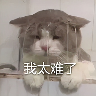举重冠军最高是多少_举重冠军多高_举重冠军是多少斤