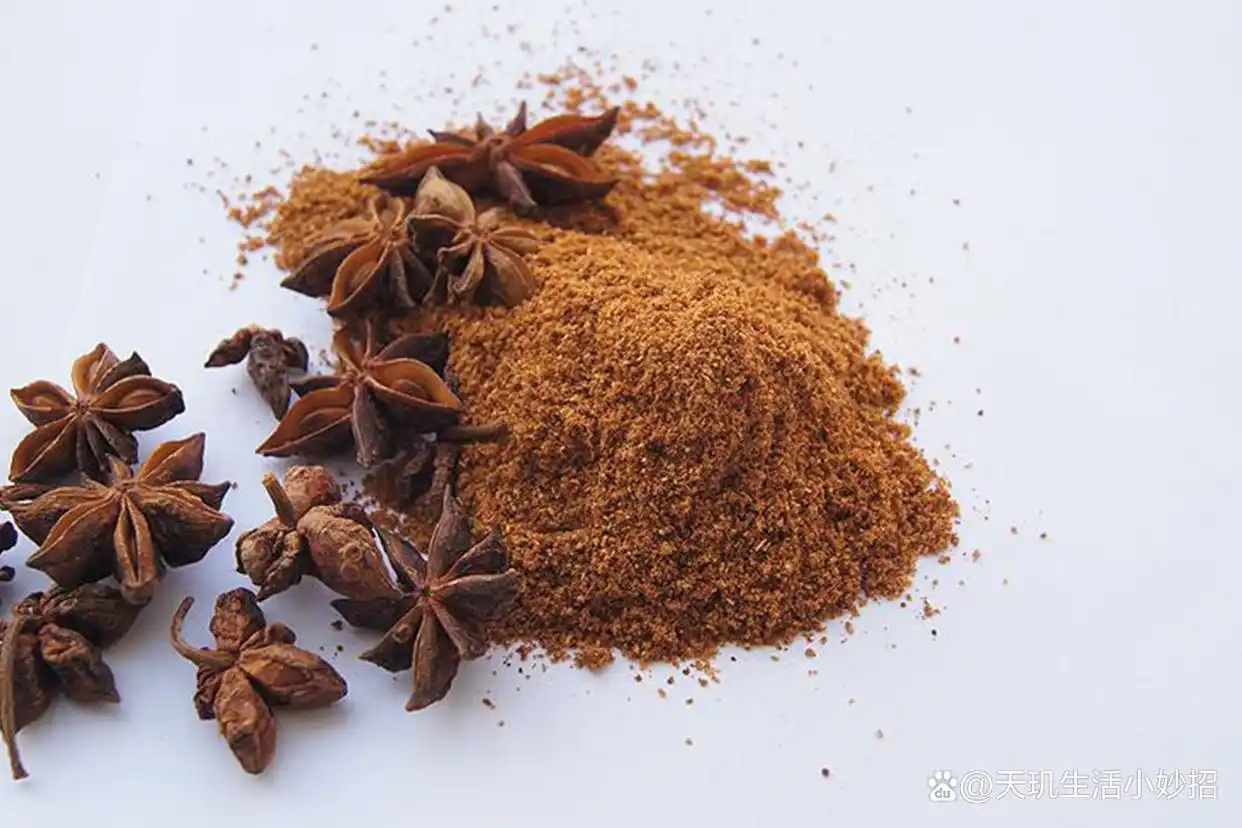 家里老鼠多头疼？石膏粉八角粉等小窍门轻松帮你消灭老鼠