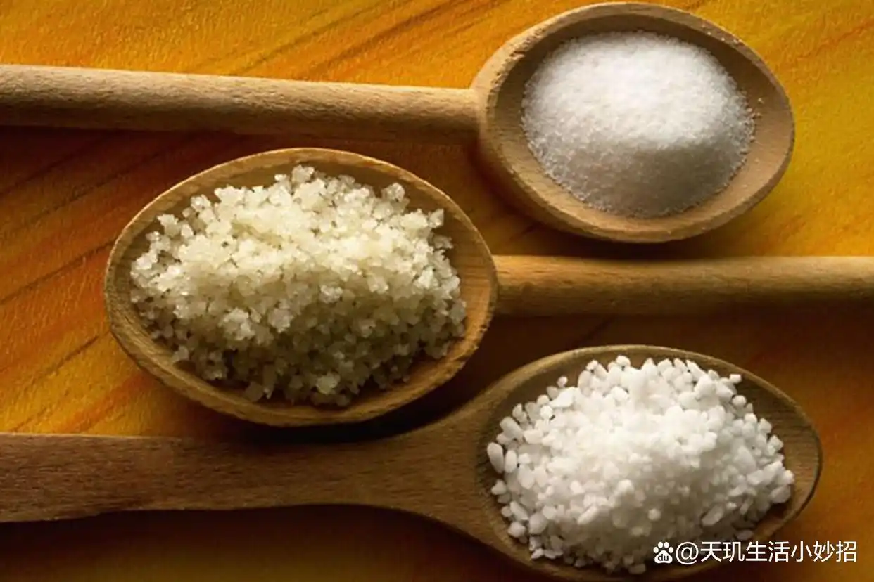 捕耗子的土方法_生活小窍门捕捉耗子_捕捉耗子的方法