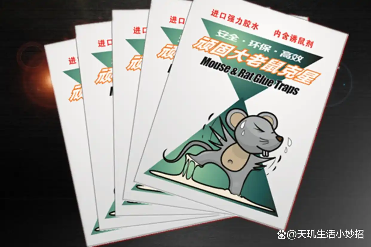 生活小窍门捕捉耗子_捕耗子的土方法_捕捉耗子的方法