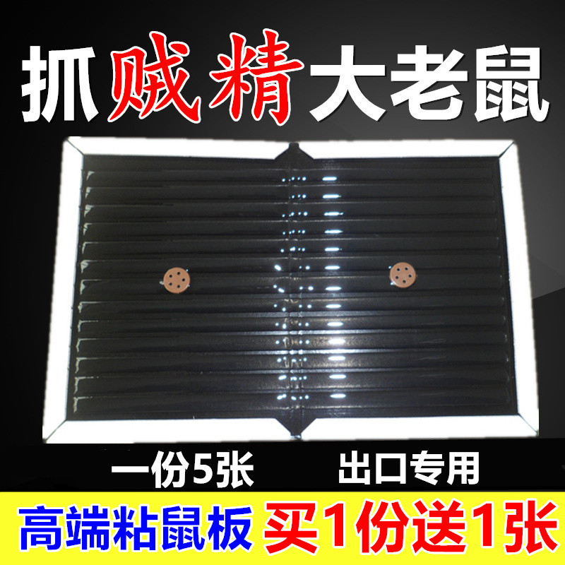 捕耗子的土方法_捕捉耗子的方法_生活小窍门捕捉耗子